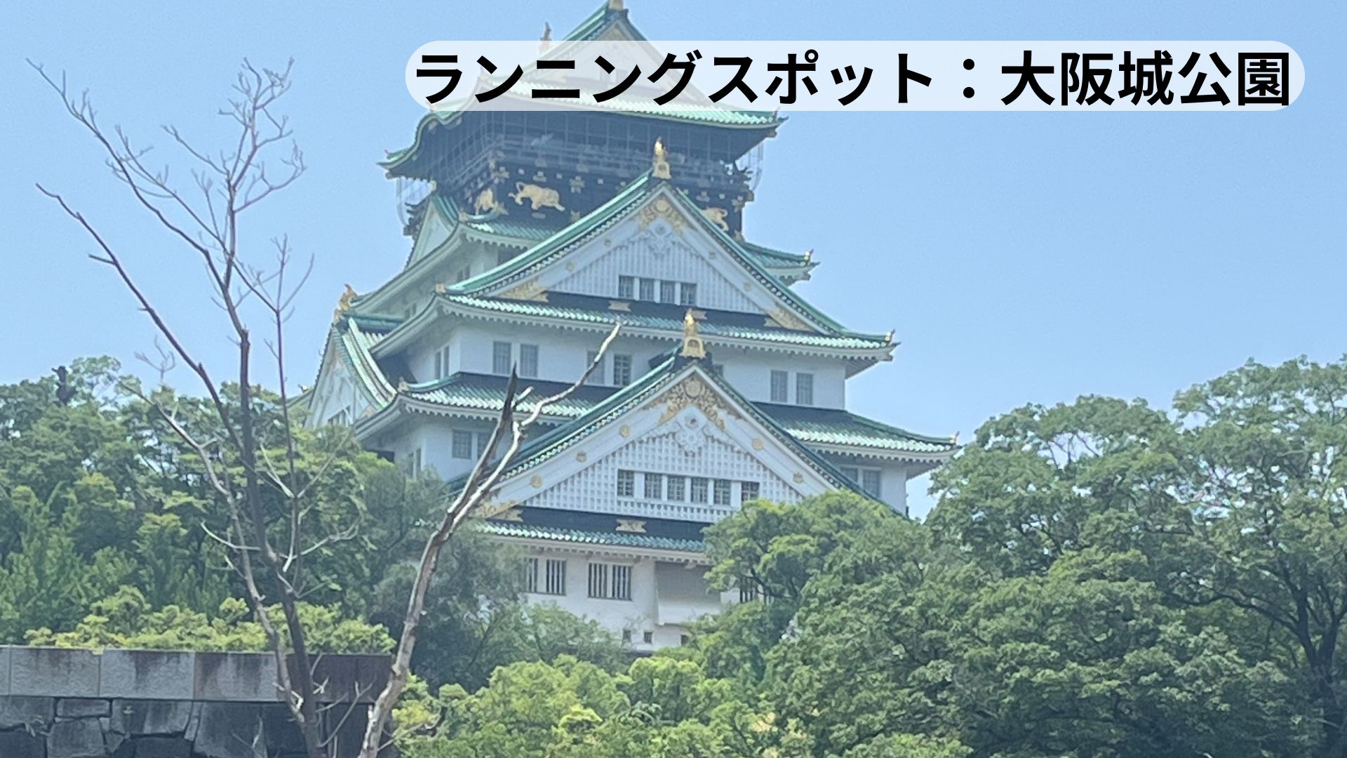 「大阪城公園と大阪城を背景にしたランニングスポットの風景